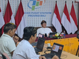 Ekonomi Bali Awal 2026 Tumbuh Moderat, Konsumsi dan Pariwisata Tetap Jadi Penopang