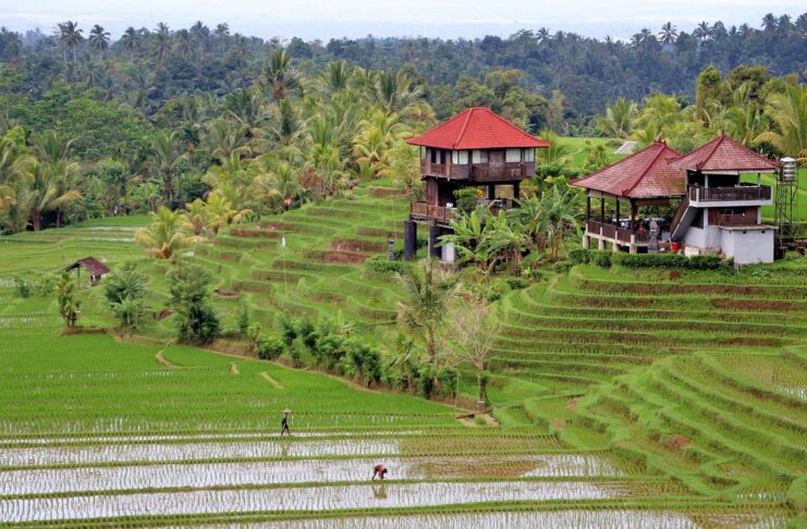 Panduan Lengkap Liburan ke Bali untuk Pemula | BaliUpdate.id